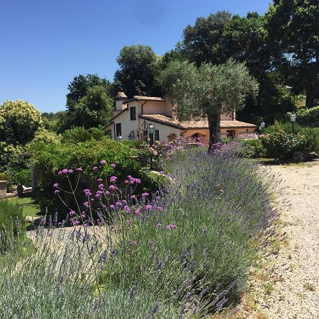 Olivella Villa Campagnano Di Roma Eksteriør billede