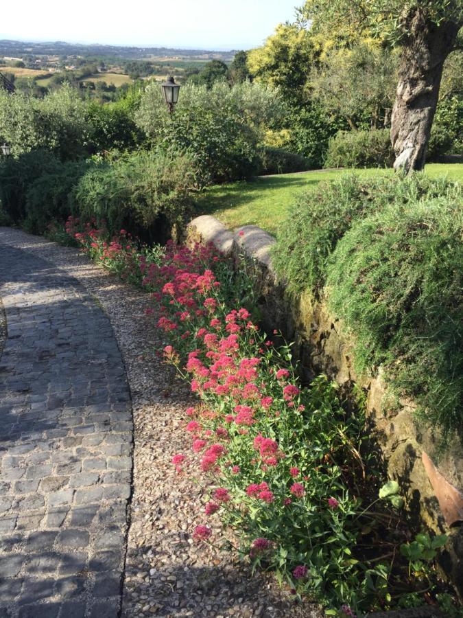 Olivella Villa Campagnano Di Roma Eksteriør billede