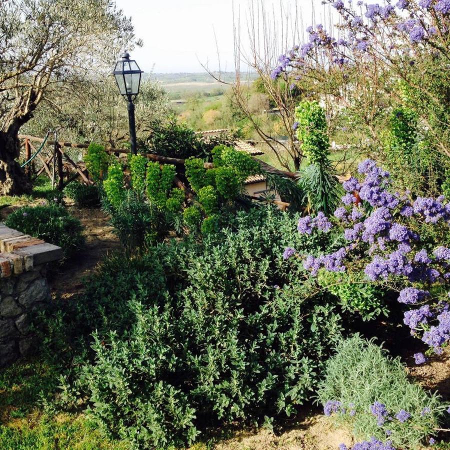 Olivella Villa Campagnano Di Roma Eksteriør billede
