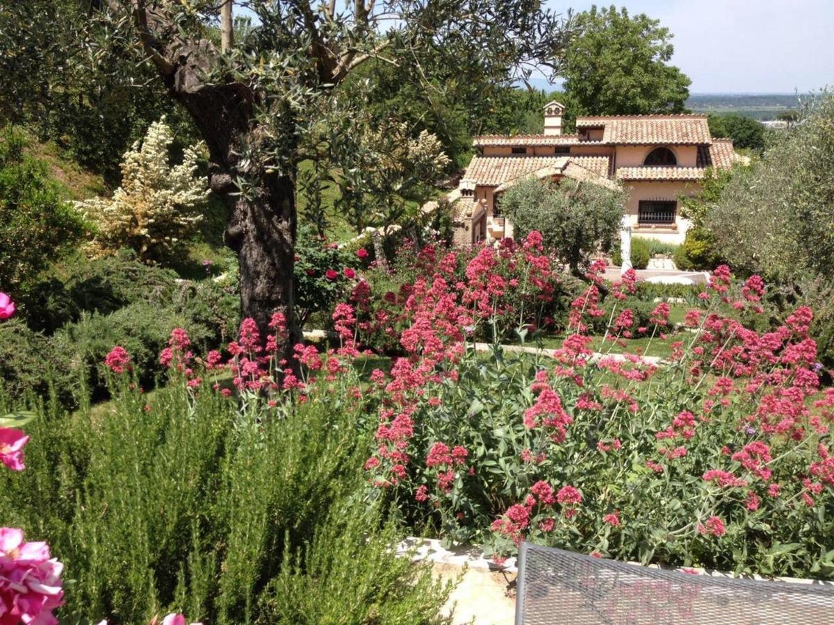 Olivella Villa Campagnano Di Roma Eksteriør billede
