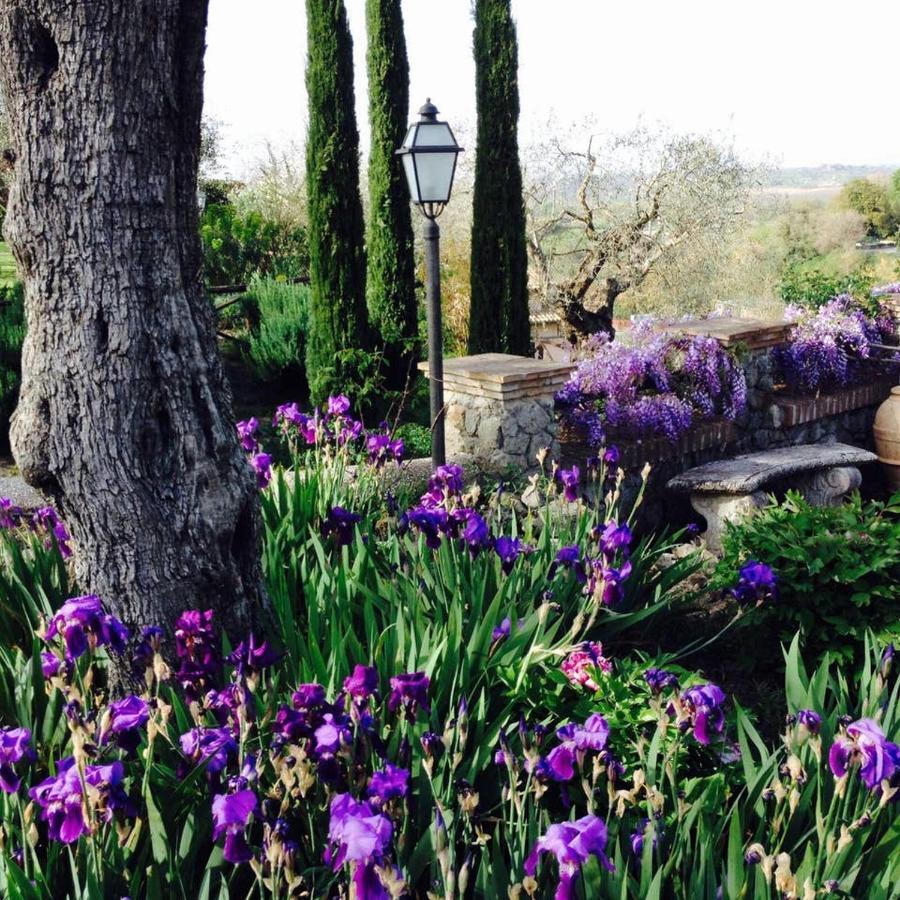 Olivella Villa Campagnano Di Roma Eksteriør billede